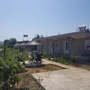 Pensión Rey Garden, Vlorë